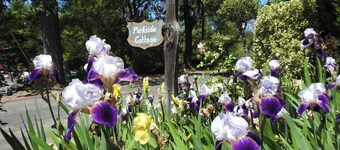 Parkside - Murphys Vacation Rentals