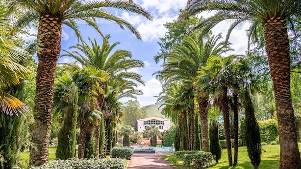 A pathway lined with palm trees leading to a building with a modern architectural design.