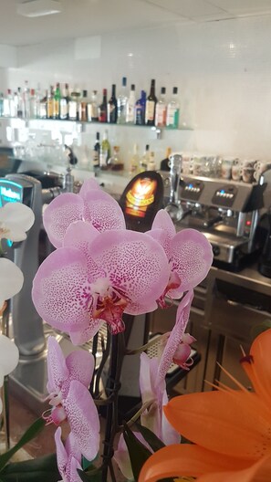 Café da manhã com buffet grátis todos os dias