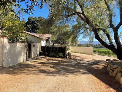 Vineyard Home for the Art Lover