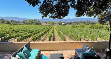 Weinberghaus für den Kunstliebhaber