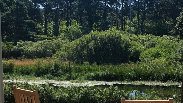 A wooden deck with two rocking chairs and a small table, overlooking a pond and dense greenery. - TRANQUILITY IN NANTUCKET (Nantucket)
