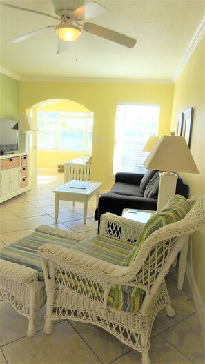 Una Smart TV, un reproductor de DVD, libros