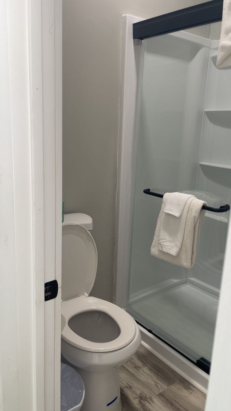 A bathroom with a toilet, a glass shower enclosure, and a towel rack.