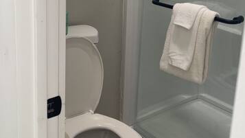A bathroom with a toilet, a glass shower enclosure, and a towel rack.
