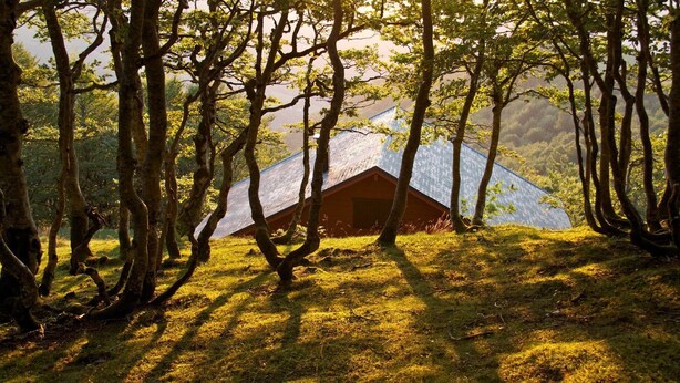 A tent in a forested area with sunlight filtering through the trees. - Charming Small Cottage in Soule (MENDITTE)