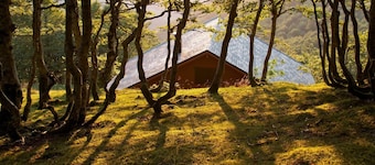 Charming Small Cottage in Soule