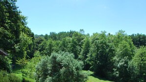 A garden with various plants and flowers, a wooden bench, and a paved area. - Charming Small Cottage in Soule (MENDITTE)