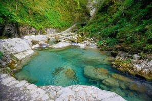 Una poza natural rodeada de rocas y vegetación.