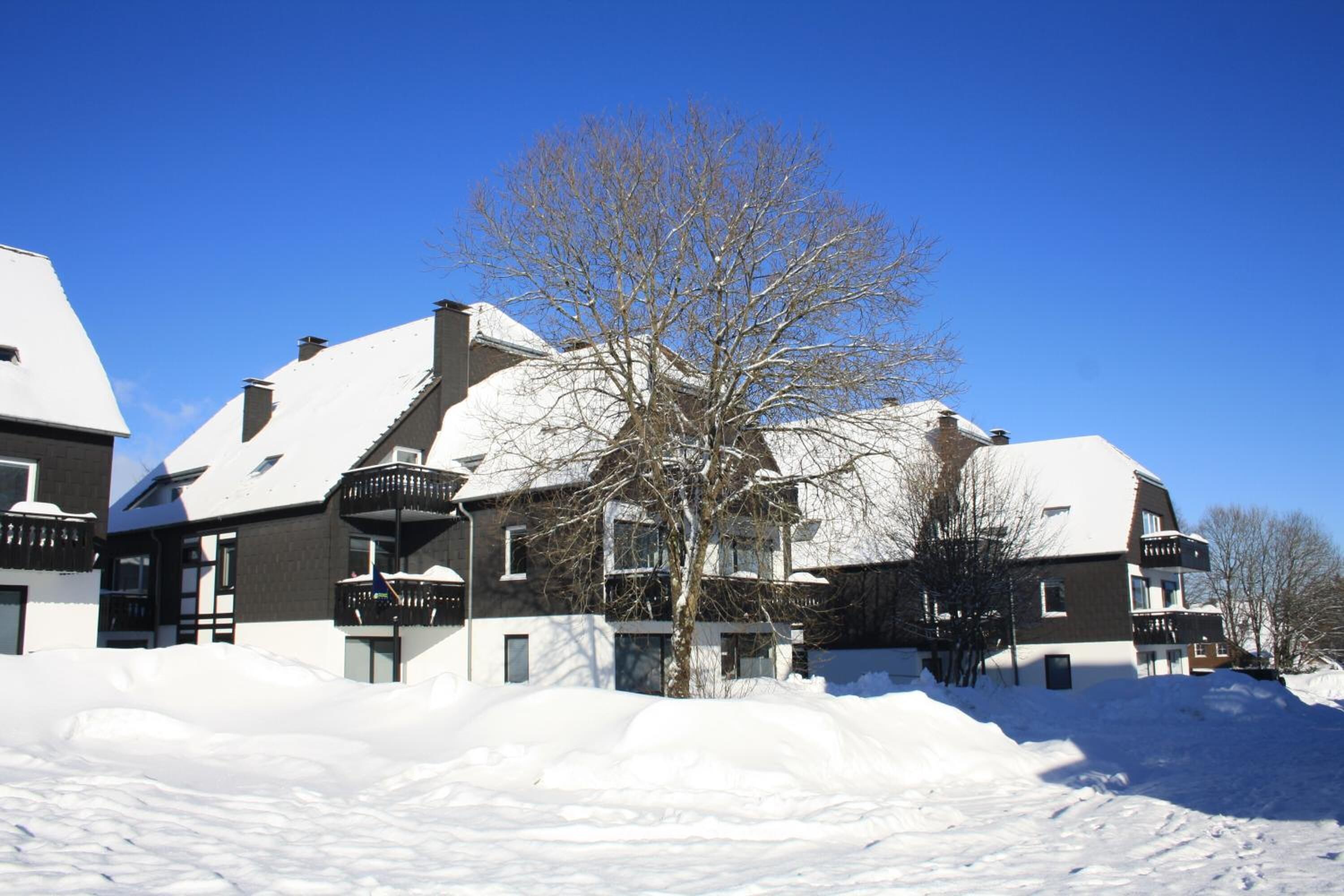 A snow-covered building with multiple balconies and a tree in the foreground.