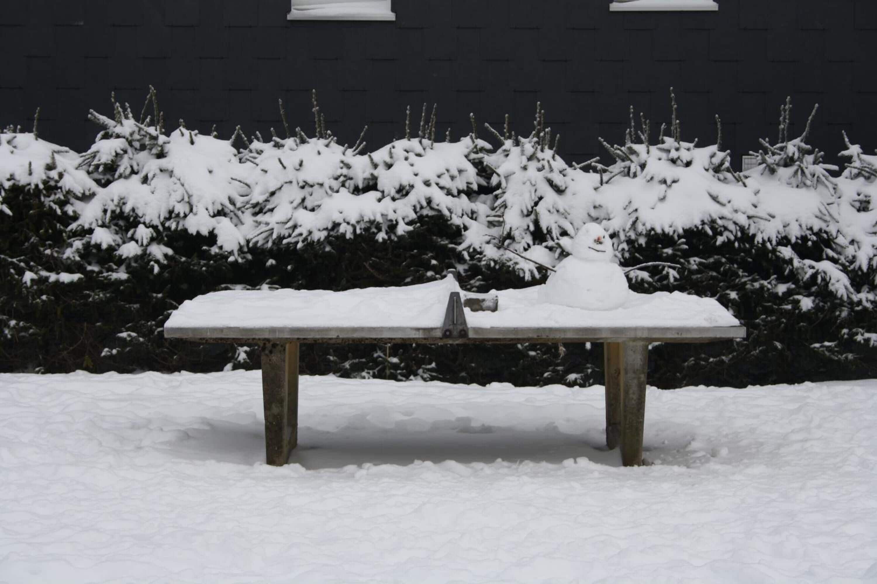A bench covered in snow with a snow-covered bush in the background.
