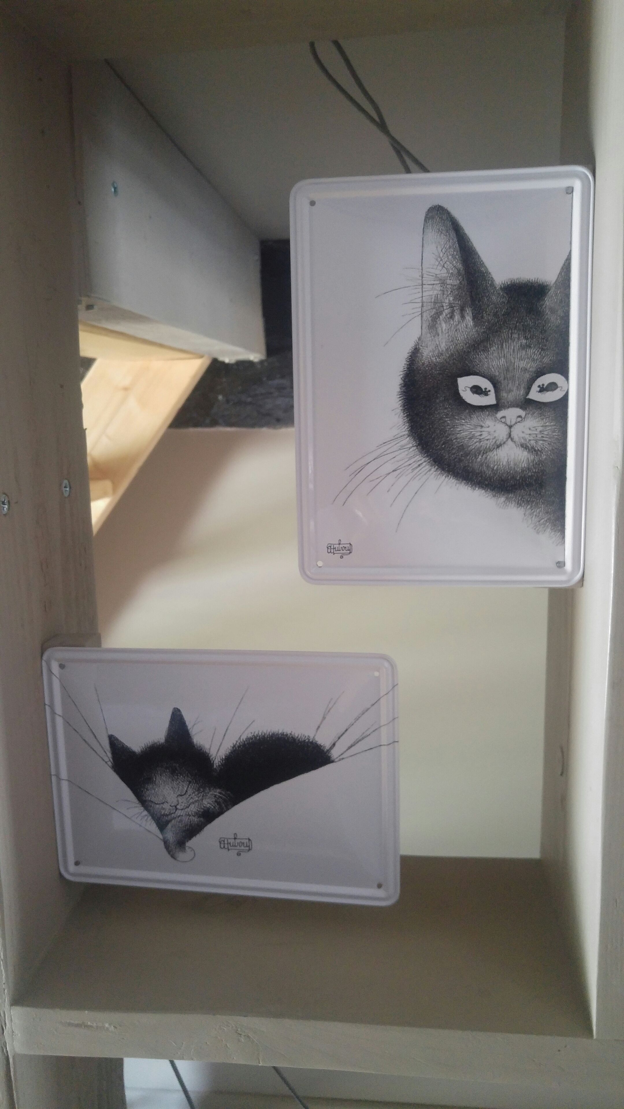 Een plank met twee zwart-wit tekeningen van katten in lijsten.