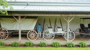A covered outdoor area with a vintage carriage and horseshoes.