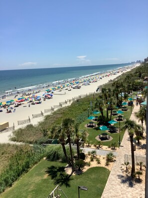 A la platja i gandules de platja 