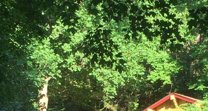 Romantic, 1 bedroom cottage walking distance to downtown, pet friendly, private.