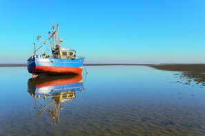 Unclassified image, 5 of 29, button