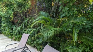 Un espace extérieur aménagé avec des chaises en métal et une table en verre, entouré d’une végétation tropicale luxuriante.