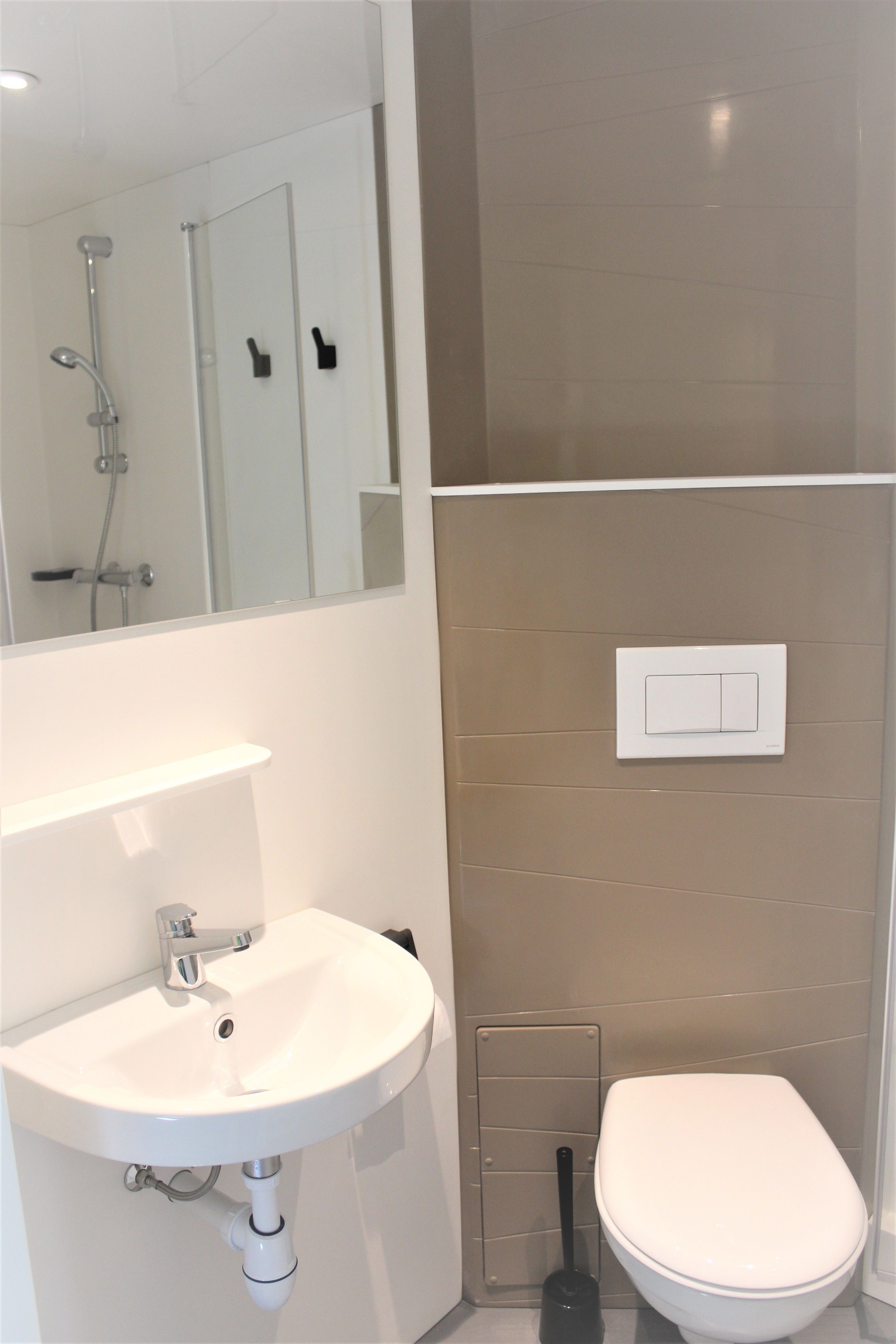 A bathroom with a white sink, a toilet, and a shower.
