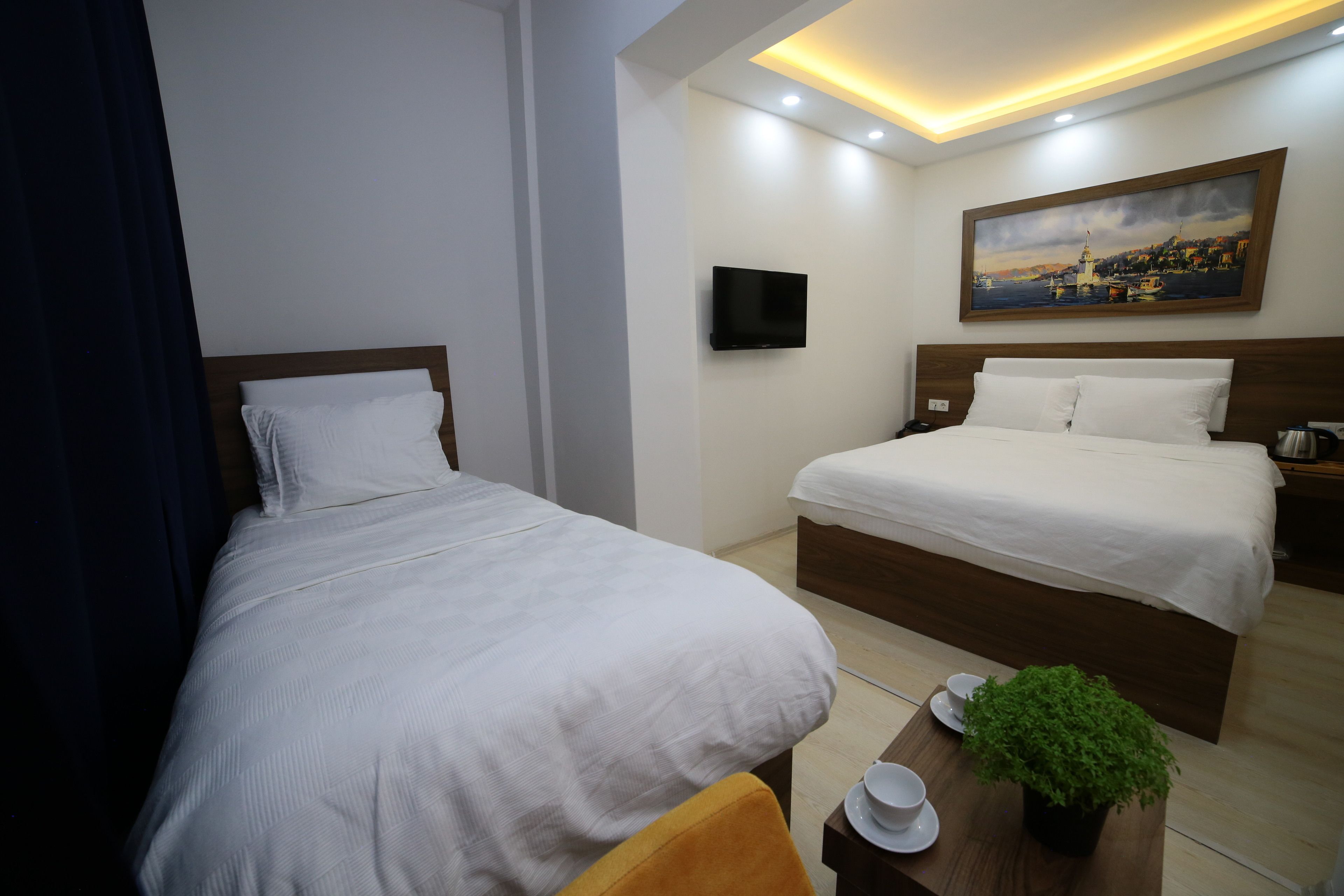 A hotel room with two beds, a flat-screen TV, a painting, and a small table with a plant and cups.