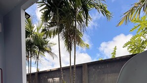 Un patio con dos sillas blancas de plástico, una mesa, un muro de concreto y una palmera al fondo.