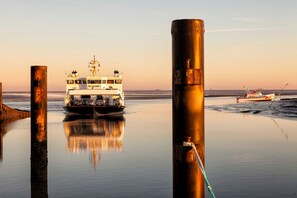 Unclassified image, 2 of 30, button