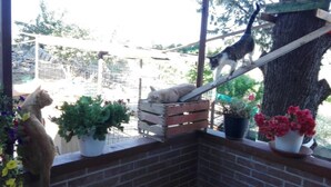 A cat enclosure with a wooden crate, potted plants, and a tree. - Oasi LIV Palermo (Piana degli Albanesi)