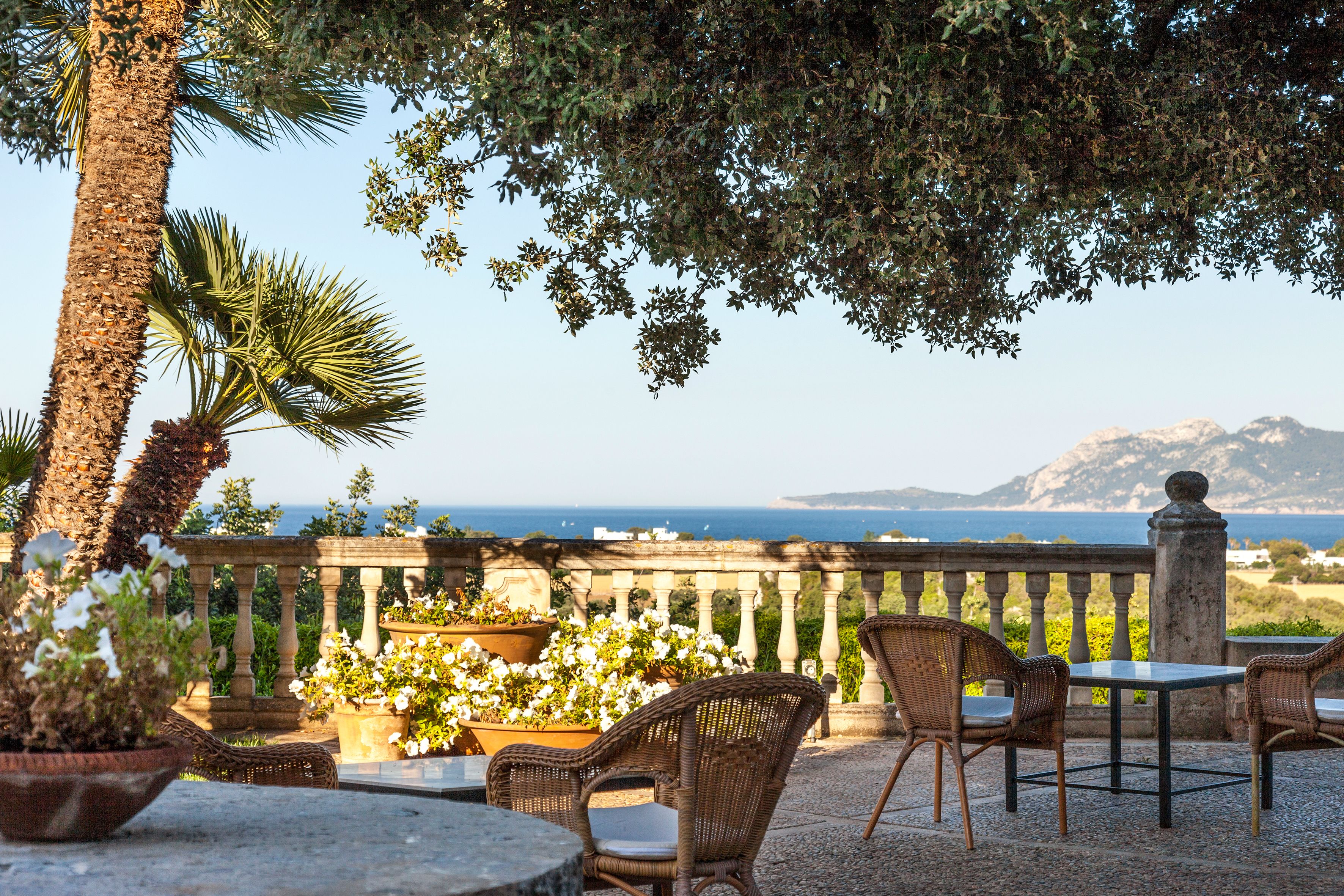 Lunch and dinner served, Mediterranean cuisine