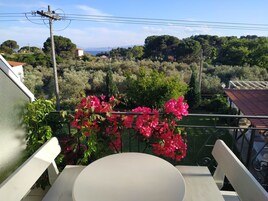 Daily cooked-to-order breakfast (EUR 7 per person)