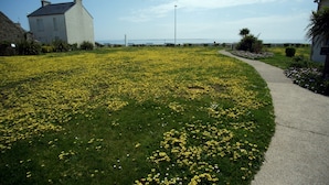 A grassy area with yellow flowers, a sidewalk, and a building with a chimney. - For rent 2 level house in seaside residence (Le Guilvinec)