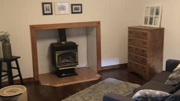 Smart TV, fireplace, books, stereo