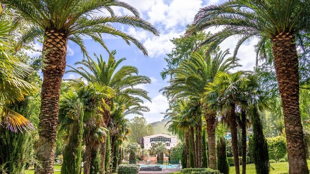 Un sendero bordeado de palmeras que conduce a un edificio de diseño arquitectónico moderno.