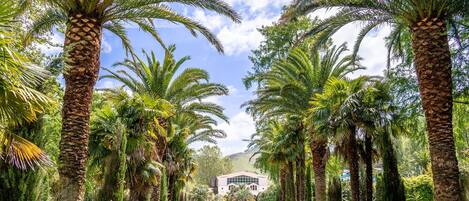 Enceinte de lâhĂ©bergement