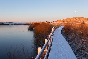 Wander along the serene pathway to a peaceful lake or river, surrounded by snow-draped bushes and rolling hills.