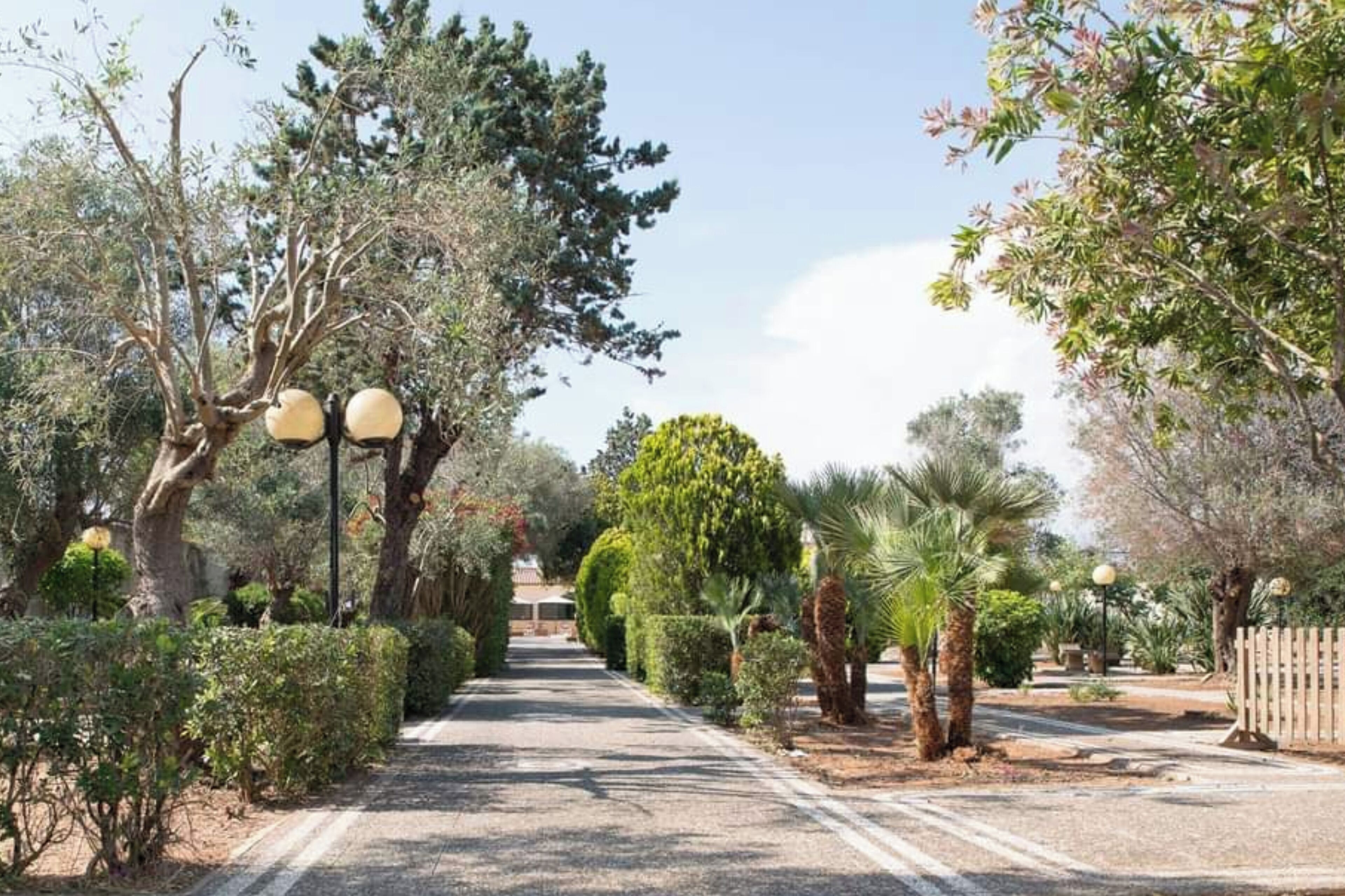 A pathway lined with various trees and shrubs, leading towards a building.