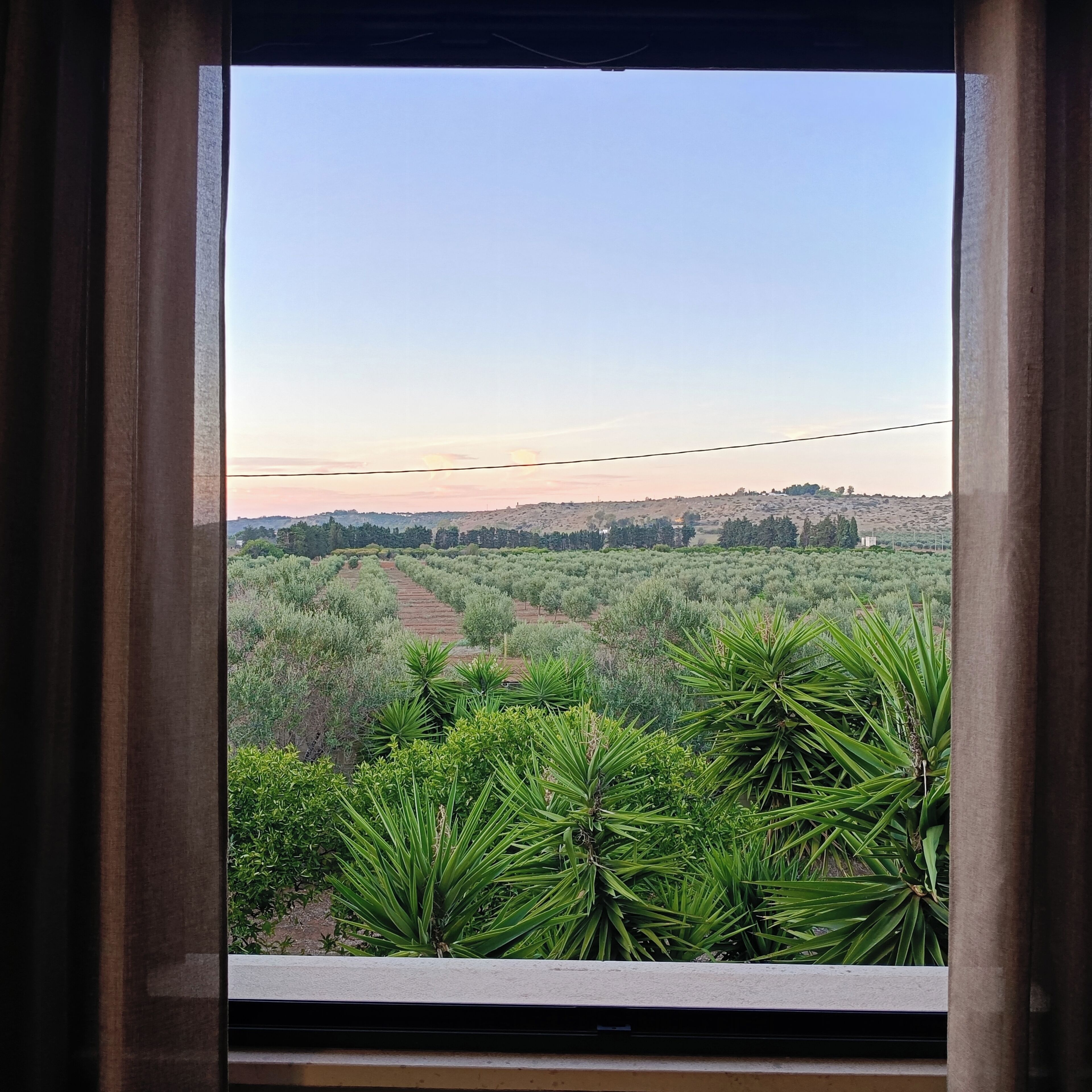 Vista a través de una ventana con cortinas, mostrando un paisaje con filas de árboles y un fondo montañoso.