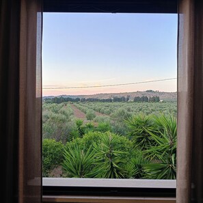 View from room - Hotel Villa Costes (Sannicola)