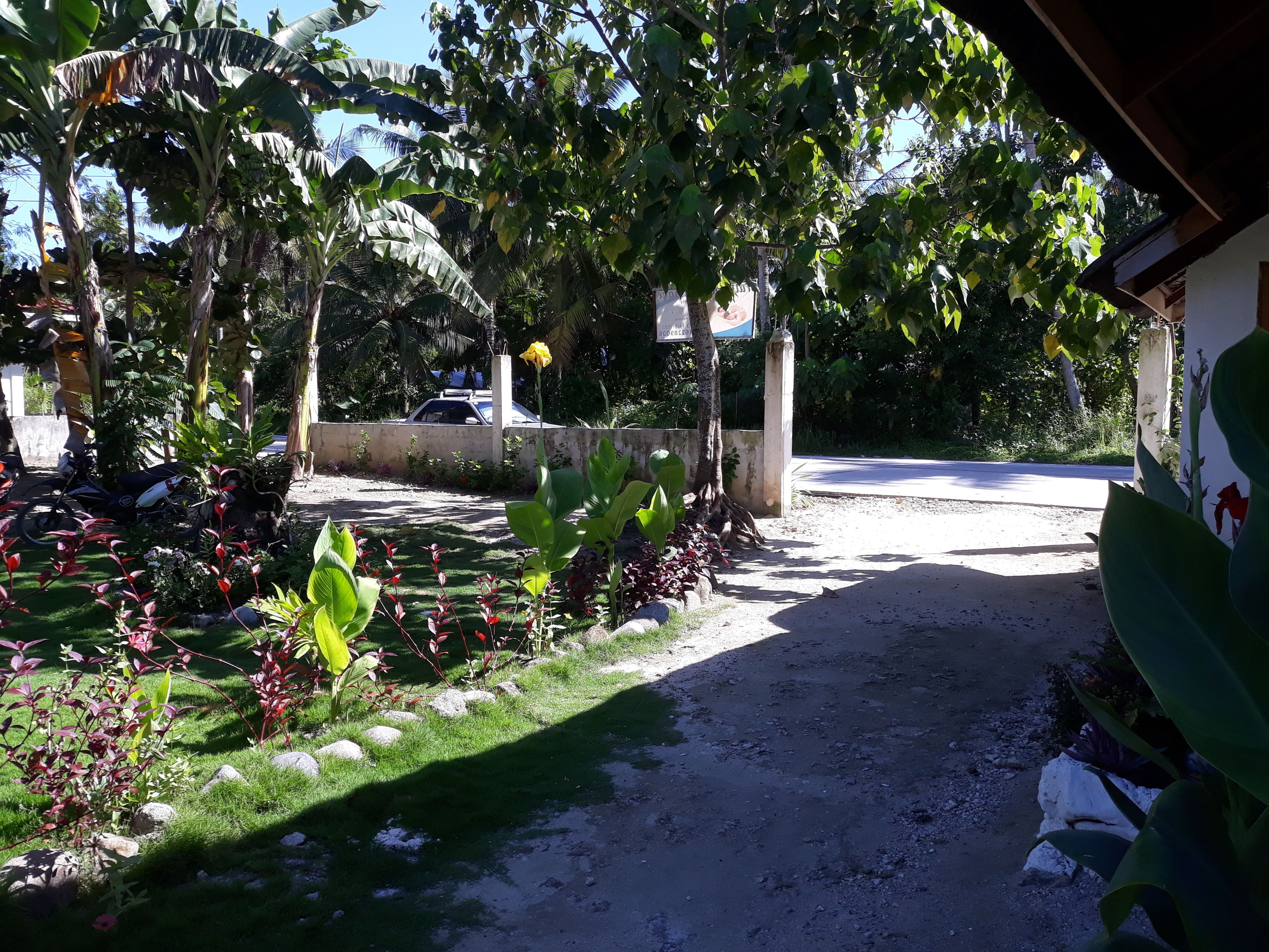 A paved driveway leading to a building with a covered entrance, surrounded by lush greenery and a variety of plants.