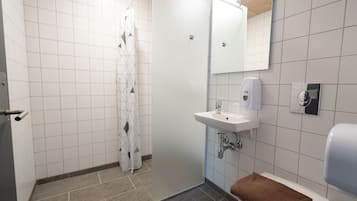 Ducha, secador de pelo, jabón y papel higiénico