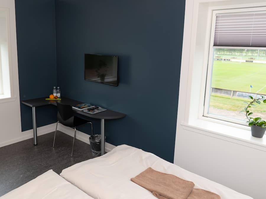 A hotel room with a bed, a desk, a chair, a TV, a window with a view of a sports field, and a potted plant.