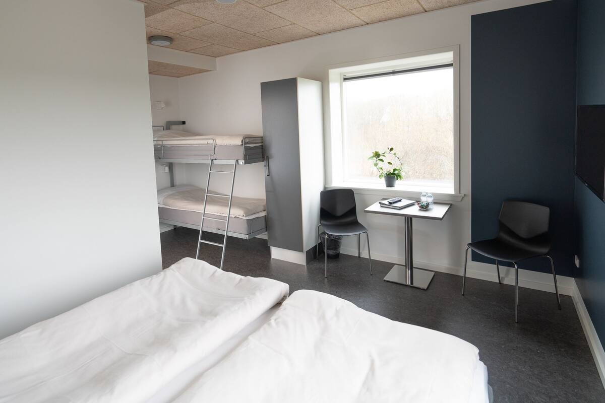 A hotel room with a bunk bed, a desk with a chair, a potted plant, and a window.