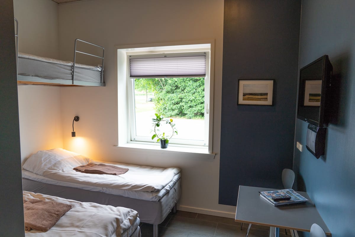 A bedroom with two beds, a window with a view of greenery, a desk with a chair, and a TV on the wall.