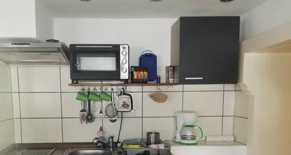 Nice central apartment