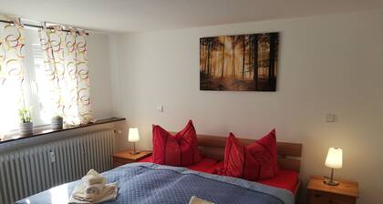 Nice central apartment