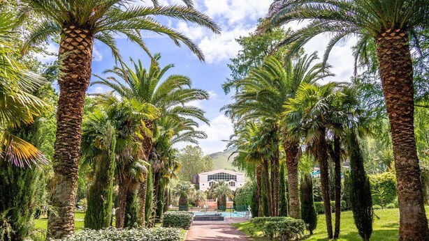 Un sendero bordeado de palmeras que conduce a un edificio de diseño arquitectónico moderno.