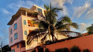 A multi-story building with a flat roof, a palm tree in front, and a low wall with small shrubs.