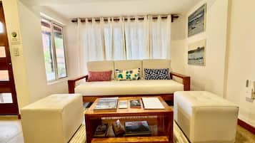 TV, fireplace, books
