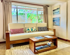 TV, DVD player, books, video library