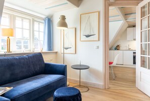 TV, fireplace, books