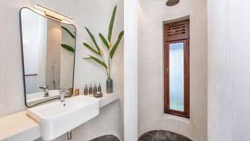 Un baño con un lavamanos blanco, un espejo, una planta en maceta y una ventana con contraventanas de madera.
