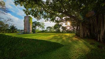 A grassy area with a tall, cylindrical structure covered in greenery, surrounded by trees and a clear sky.